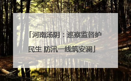 河南汤阴：巡察监督护民生 防汛一线筑安澜