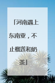 河南遇上东南亚，不止榴莲和奶茶