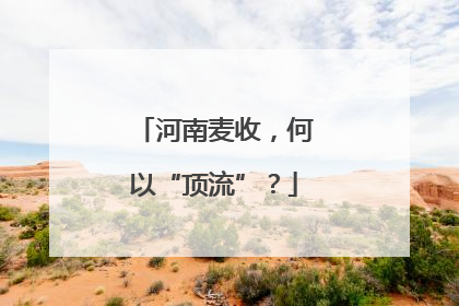 河南麦收，何以“顶流”？