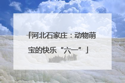 河北石家庄：动物萌宝的快乐“六一”