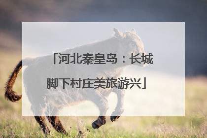 河北秦皇岛：长城脚下村庄美旅游兴