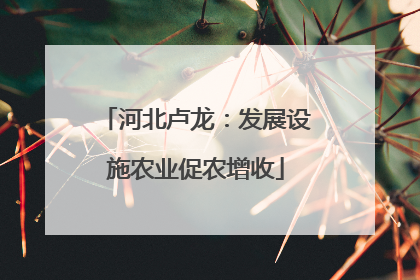 河北卢龙：发展设施农业促农增收