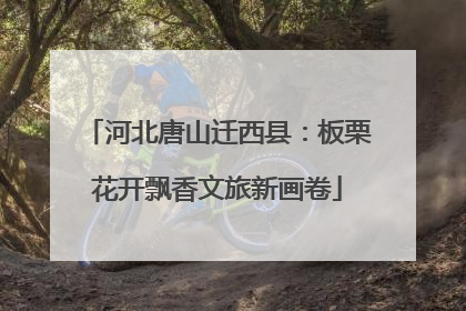 河北唐山迁西县：板栗花开飘香文旅新画卷