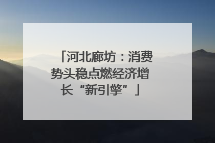 河北廊坊：消费势头稳点燃经济增长“新引擎”