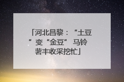 河北昌黎：“土豆”变“金豆” 马铃薯丰收采挖忙