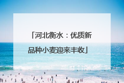 河北衡水：优质新品种小麦迎来丰收