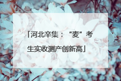 河北辛集：“麦”考生实收测产创新高