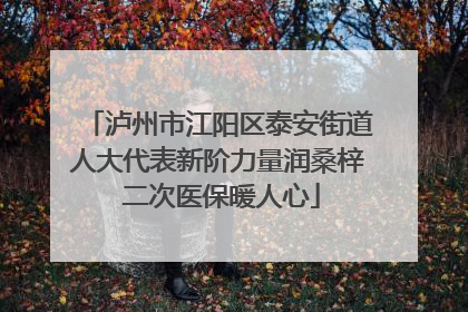 泸州市江阳区泰安街道人大代表新阶力量润桑梓 二次医保暖人心