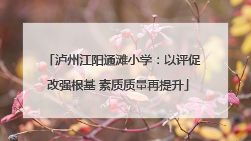 泸州江阳通滩小学：以评促改强根基 素质质量再提升