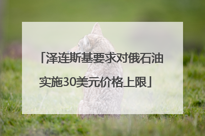 泽连斯基要求对俄石油实施30美元价格上限