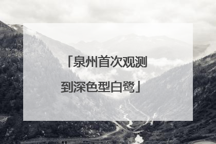 泉州首次观测到深色型白鹭
