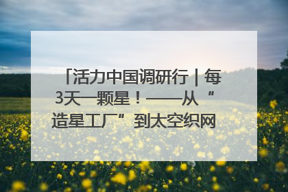 活力中国调研行｜每3天一颗星！——从“造星工厂”到太空织网的“银河速度”