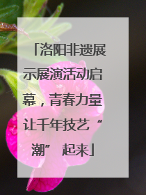洛阳非遗展示展演活动启幕，青春力量让千年技艺“潮” 起来