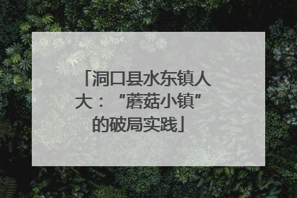 洞口县水东镇人大：“蘑菇小镇”的破局实践