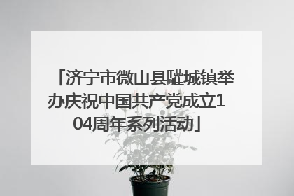 济宁市微山县驩城镇举办庆祝中国共产党成立104周年系列活动
