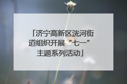 济宁高新区洸河街道组织开展“七一” 主题系列活动