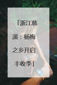 浙江慈溪：杨梅之乡开启丰收季