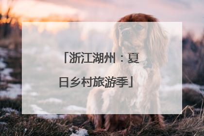 浙江湖州：夏日乡村旅游季
