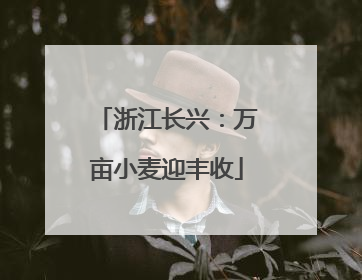 浙江长兴：万亩小麦迎丰收