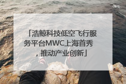 浩鲸科技低空飞行服务平台MWC上海首秀，推动产业创新