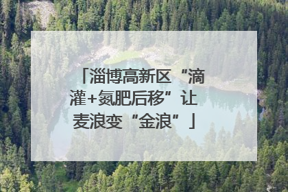 淄博高新区“滴灌+氮肥后移”让麦浪变“金浪”