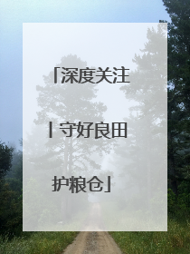 深度关注丨守好良田护粮仓