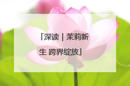 深读｜茉莉新生 跨界绽放