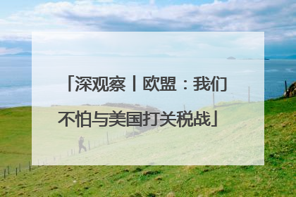 深观察丨欧盟：我们不怕与美国打关税战