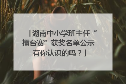 湖南中小学班主任“擂台赛”获奖名单公示 有你认识的吗？