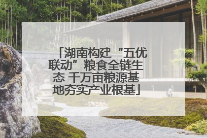 湖南构建“五优联动”粮食全链生态 千万亩粮源基地夯实产业根基
