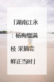 湖南江永：杨梅缀满枝 采摘尝鲜正当时