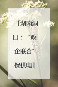 湖南洞口：“政企联合”保供电