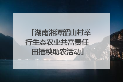 湖南湘潭韶山村举行生态农业共富责任田插秧助农活动