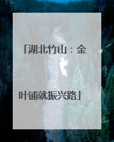 湖北竹山：金叶铺就振兴路