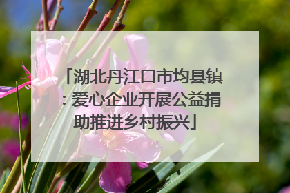 湖北丹江口市均县镇：爱心企业开展公益捐助推进乡村振兴