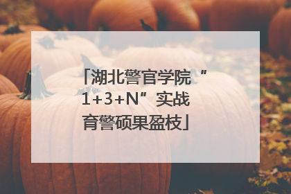 湖北警官学院“1+3+N”实战育警硕果盈枝
