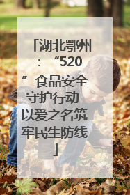 湖北鄂州：“520”食品安全守护行动 以爱之名筑牢民生防线