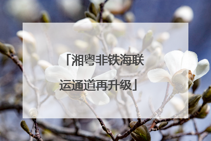 湘粤非铁海联运通道再升级
