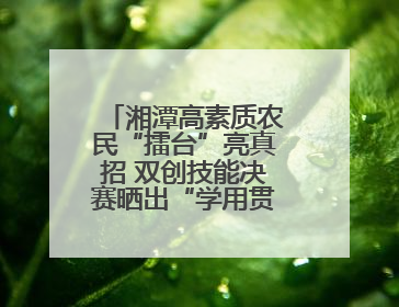 湘潭高素质农民“擂台”亮真招 双创技能决赛晒出“学用贯通”好本事