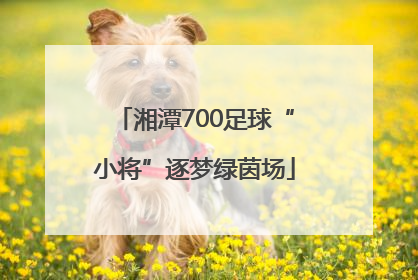 湘潭700足球“小将”逐梦绿茵场