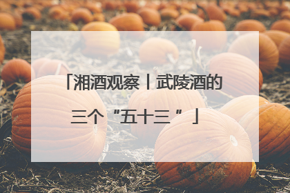 湘酒观察丨武陵酒的三个“五十三 ”