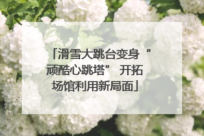 滑雪大跳台变身“顽酷心跳塔” 开拓场馆利用新局面