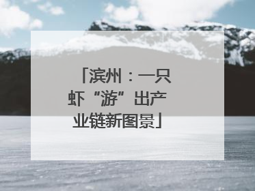 滨州：一只虾“游”出产业链新图景