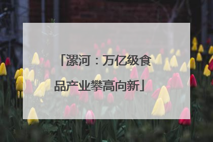 漯河：万亿级食品产业攀高向新