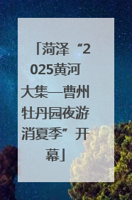 菏泽“2025黄河大集—曹州牡丹园夜游消夏季”开幕