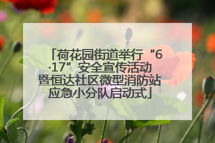 荷花园街道举行“6·17”安全宣传活动暨恒达社区微型消防站应急小分队启动式