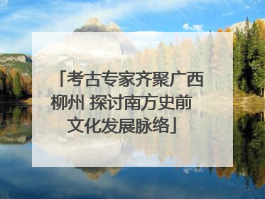 考古专家齐聚广西柳州 探讨南方史前文化发展脉络