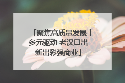 聚焦高质量发展丨多元驱动 老汉口出新出彩强商业