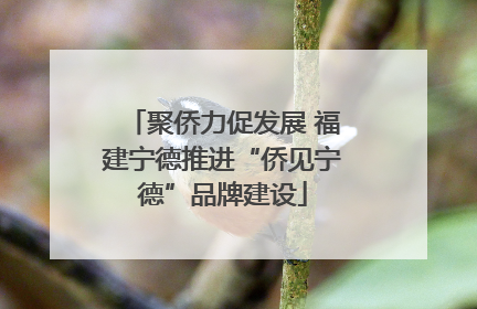 聚侨力促发展 福建宁德推进“侨见宁德”品牌建设