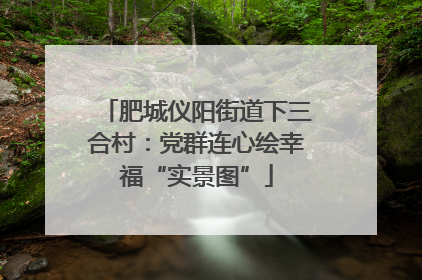 肥城仪阳街道下三合村：党群连心绘幸福“实景图”